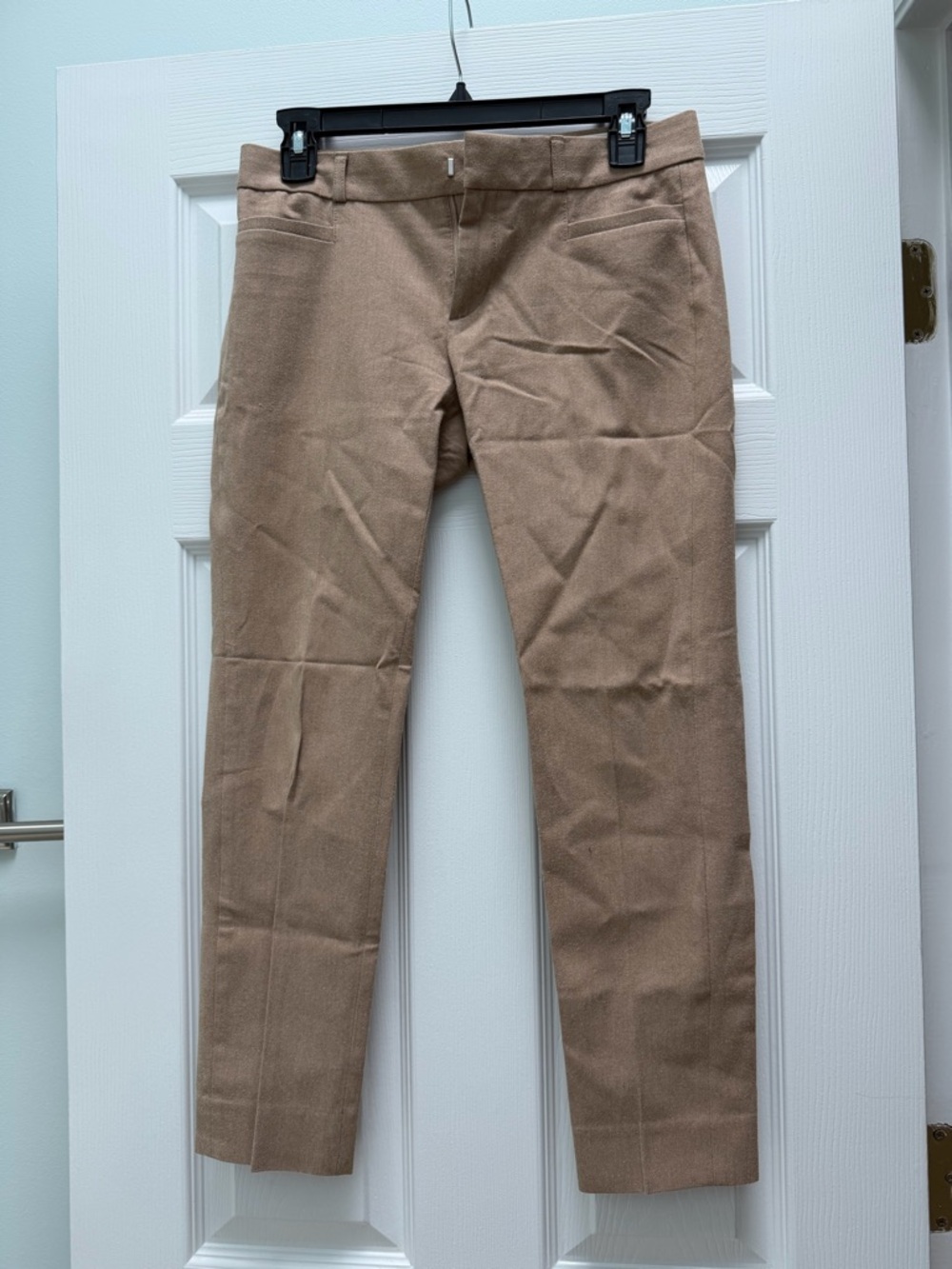 Slim Dress Pants in Light Brown